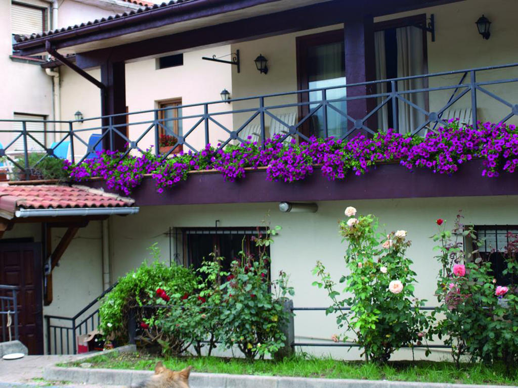 Calera Hotel 3*